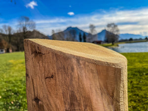 Holzzaun Elemente mit Kastanienpfosten